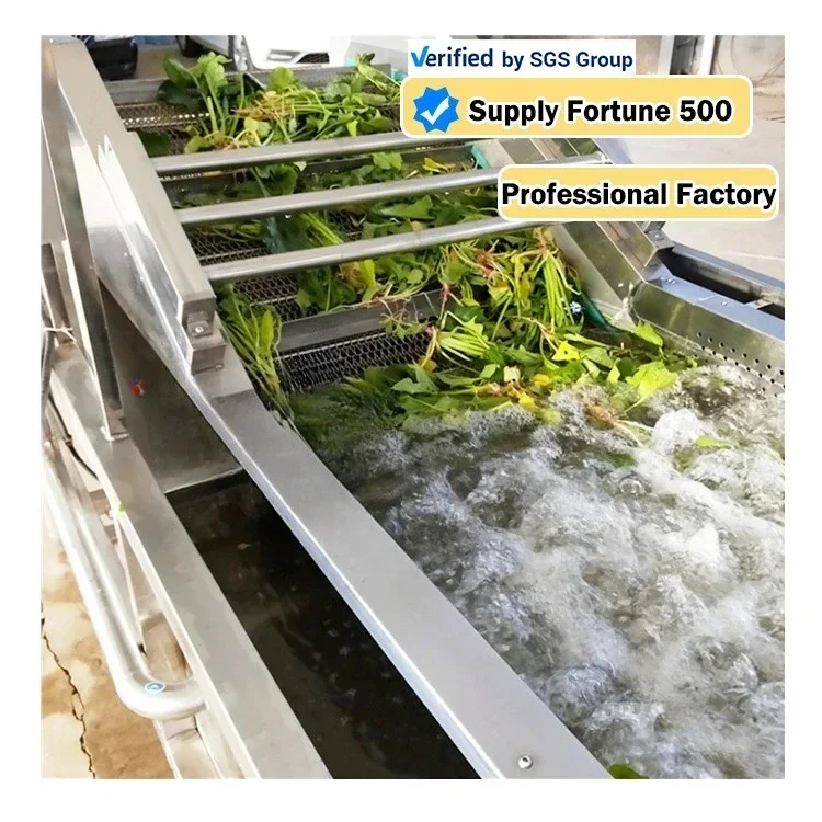 Spinach Vegetable Washer Cleaning Machine Ozone Bubbles Fruit Washer Machine Industrial Fruit Leaf Vegetable Washing Machine