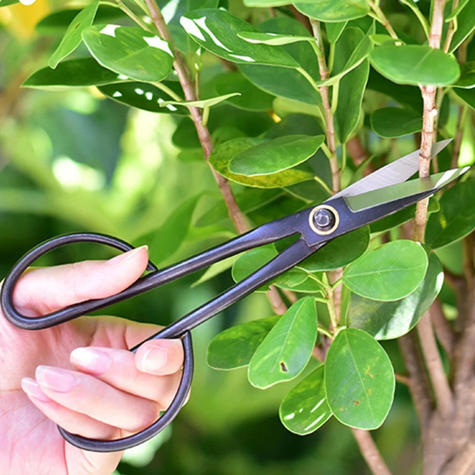 Long Handle Black Scissors Beginner Bonsai Tool  Branch Pruning Shears for Arranging Flowers and Trimming Plants Garden Tools