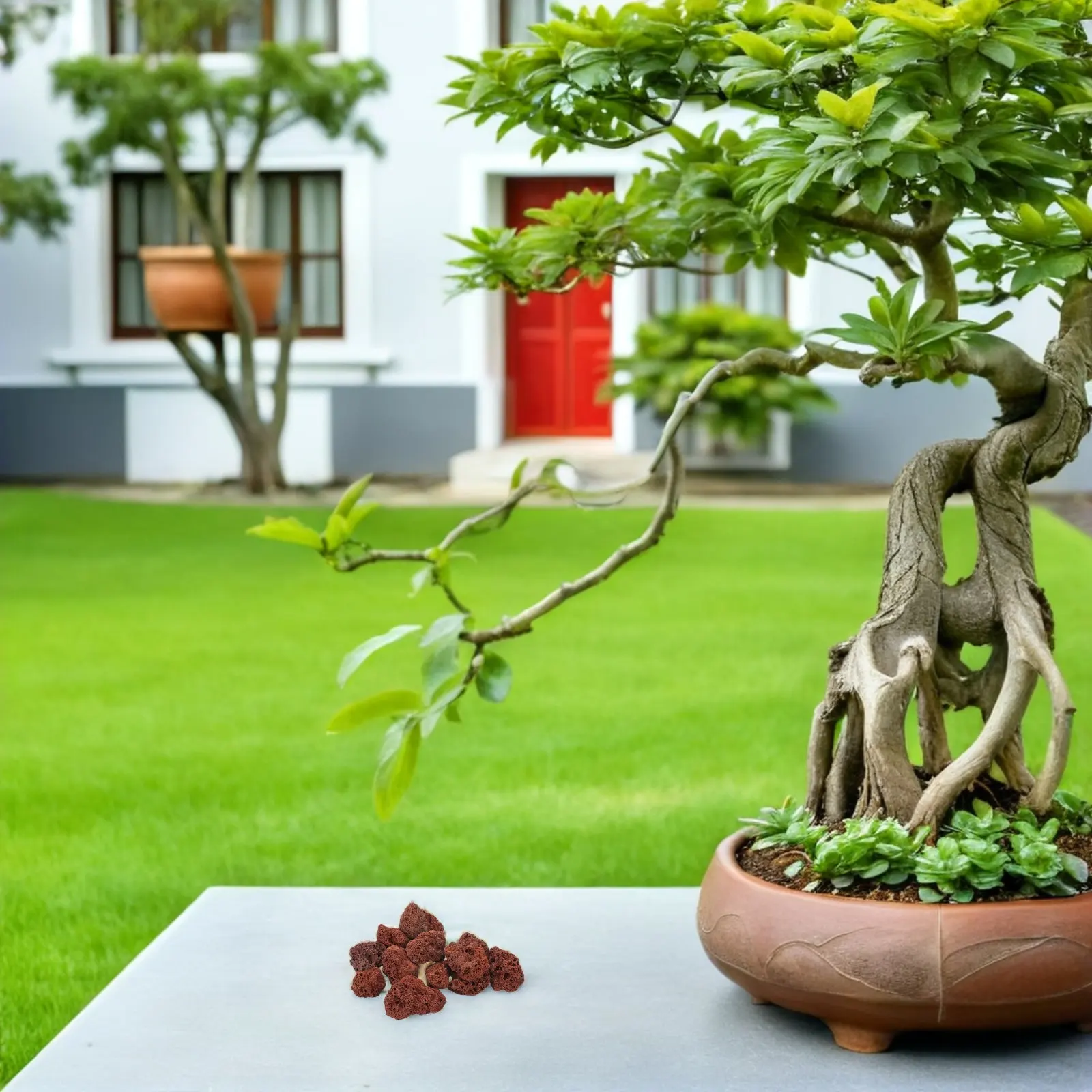 1Pack Natural Red Volcanic Landscape Rocks Large Porous Pumice Stones Ideal Outdoor Garden Decorative Stones Plant Drainage Rock