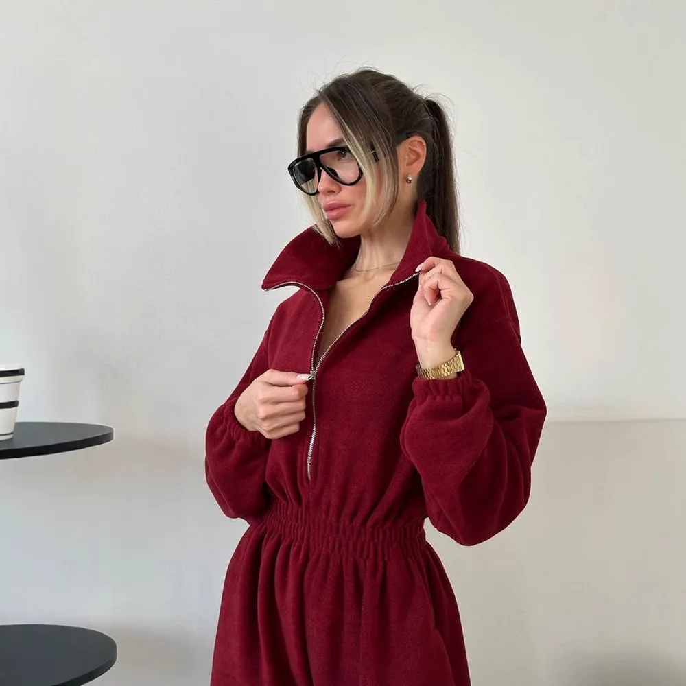 Casual Sports Jumpsuit For Women Lapel Zipper Long Sleeve Elastic Waist Sports Suit For Women 2025 Autumn Women Loose Jumpsuit