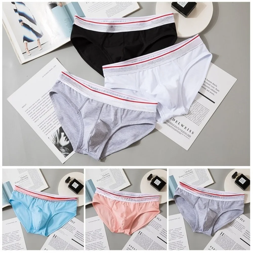 

5 pcs/lot,Men's underwear Austrian cotton candy color breathable comfortable and non-sensory boys' briefs.