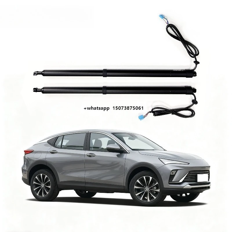 Exclusive Production Worldwide Electric Tailgate Hydraulic Electric Tailgate for  Envista Custom  OEM Compression Price