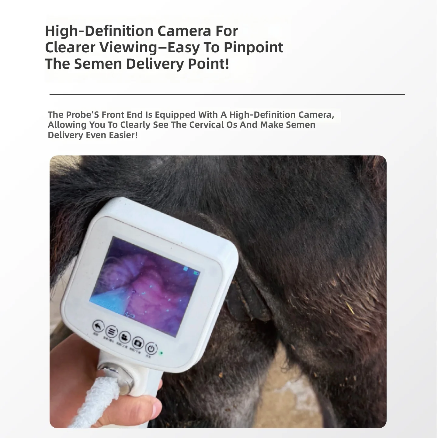 Artificial Insemination Gun, HD Positioning, Visual Insemination Tool for Donkey Horse Breeding, Farming Equipment, 1080P Camera