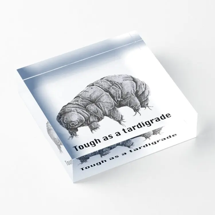 Tough As A Tardigrade  Acrylic Block Pad Art Fashionable Process Wedding Room Bedroom Print Clear Decor Funny Photos Stamping