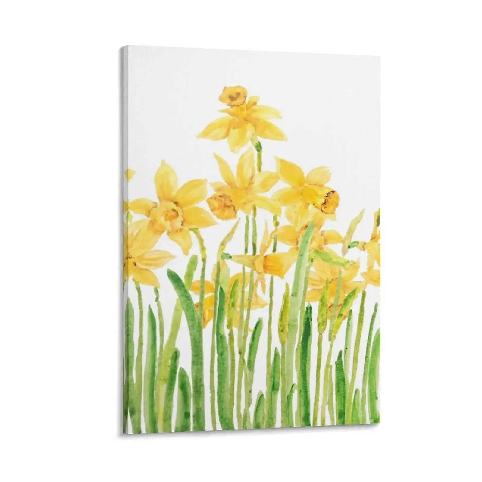 

yellow daffodils field watercolor Canvas Painting fashion wall paintings decorations for the room decoration aesthetic