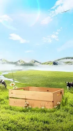 

Бесколлекторный двигатель YSIDO SCUD 2207 1850KV 2550KV 2306 1750KV 2500KV 3-6S для дронов Mark 4 FPV Racing Freestyle 5 дюймов 6