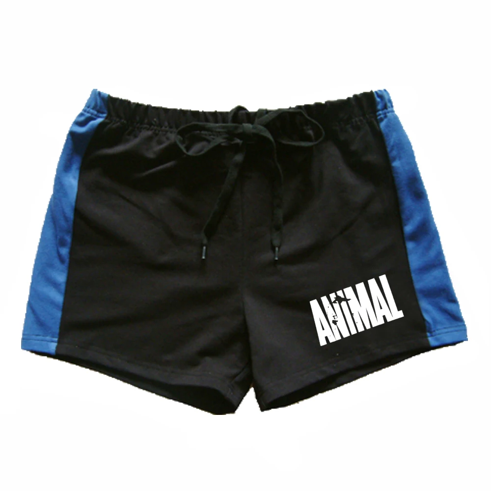 Short d\'été imprimé animal pour homme, pantalon de survêtement, fitness, course à pied, musculation, entraînement musculaire