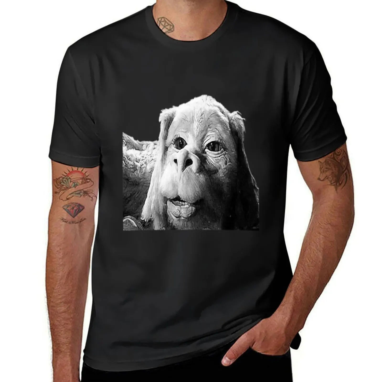 Falkor The Luck Dragon From The Neverending Story Design T-Shirt quick-drying tops graphics mens big and tall t shirts