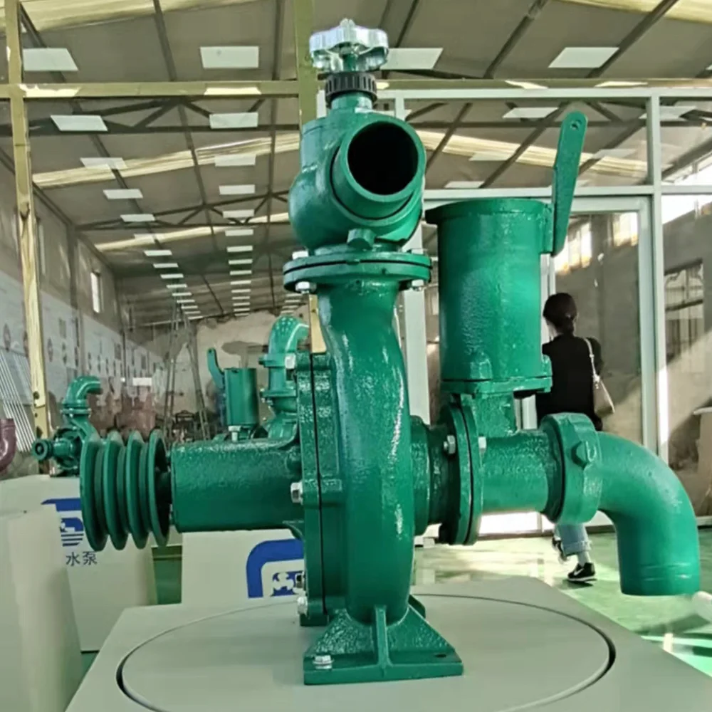 Mountain Irrigation Large Flow 4 Inch High Pressure Water Pump
