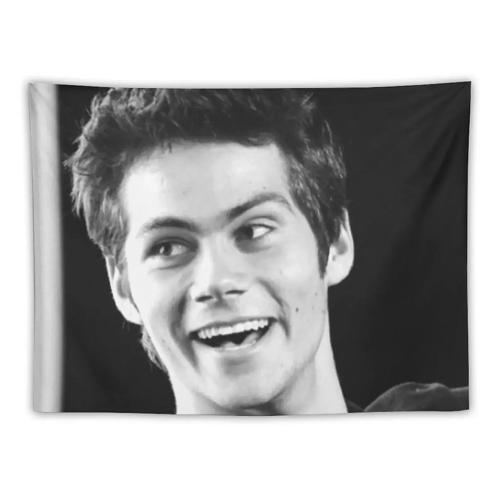 

dylan obrien Tapestry Living Room Decoration Decorations For Room Aesthetic Room Decors Wall Hanging Wall Tapestry