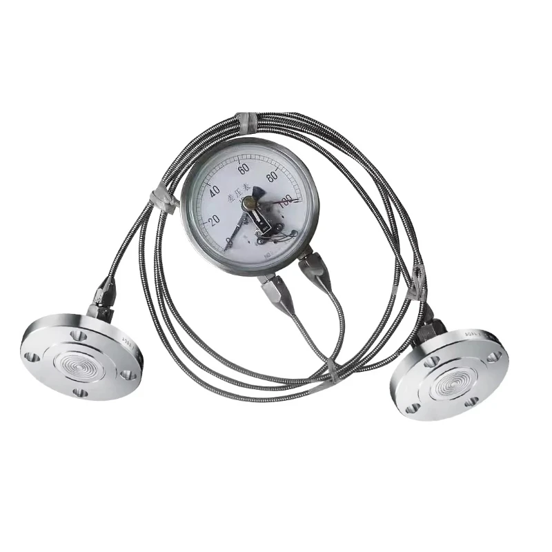 

Датчик дифференциального давления с выносным фланцем и переключателем PY3052Y