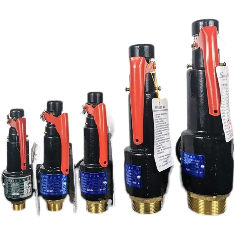 NEW Spring Type Pressure Relief Valve Iron Body Pressure Release Safety Valve for Air Compressor