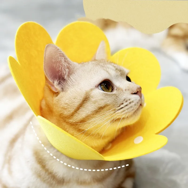 

White Eliza Circle Cat Pet Collar Sunflower Felt Head Cover Post-operative Recovery shield Anti-lick Bite Adjustable Collar