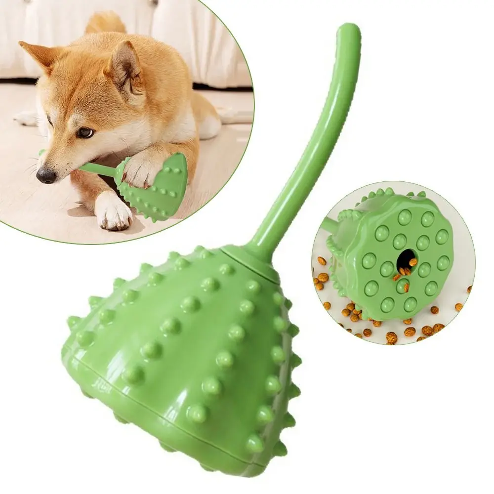 مثيرة للاهتمام لوتس Seedpod الحيوانات الأليفة وحدة التغذية البطيئة الكرة لدغة مقاومة تخفيف الملل التفاعلية الكلب الكلب مضغ جرو #3
