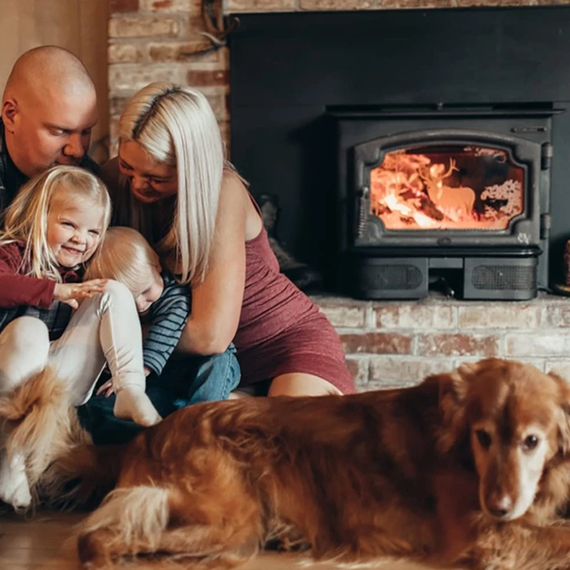 عملية هادئة 2.4 دورة في الدقيقة محرك تغذية أوجي 8124421 لموقد الحبيبات PS35 PS50 CAB50 دروبشيبينغ