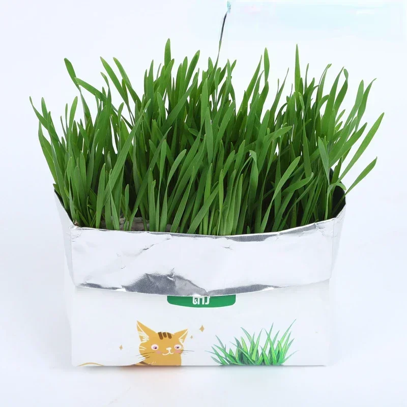 1pc Cat Grass Planting Box Growing Tray Starter Dish Greenhouse Hydroponics Plant Cat Grass Germination Nursery Pet Cat Supplies