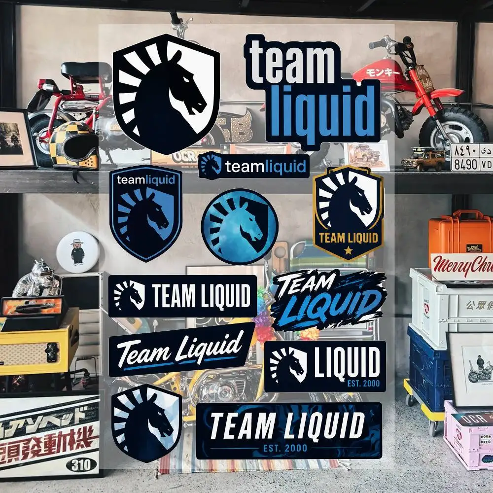 T-eam Liquid Waterproof Vinyl Stickers for Car Motorcycle Bike Skateboard Laptop Bottle Phone
