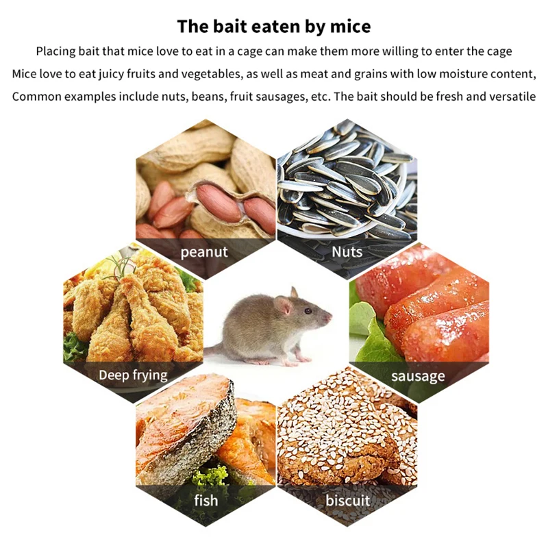 مصيدة فئران القوارض متعددة الصيد ، قفص مصيدة الفئران ، مكافحة الآفات ، جميع الفئران والفئران الماسك ، يمكن أن تناسب الفئران