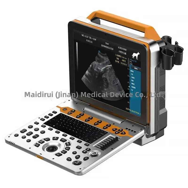 Modern Medical P60vet Portable Digital Veterinary Scanner with 3D Diagnostic System for Animal