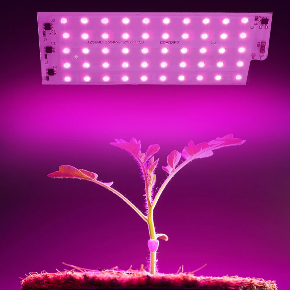 PhytoLamp-Chip de luz LED para cultivo de plantas, espectro completo, 50W, 220V, SMD2835