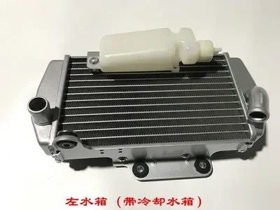 Rally Accessories For Voge LX300GY-D GY300 Motorcycle Original Radiator Water Tank With Cooling Water Tank Water Tank With Fan