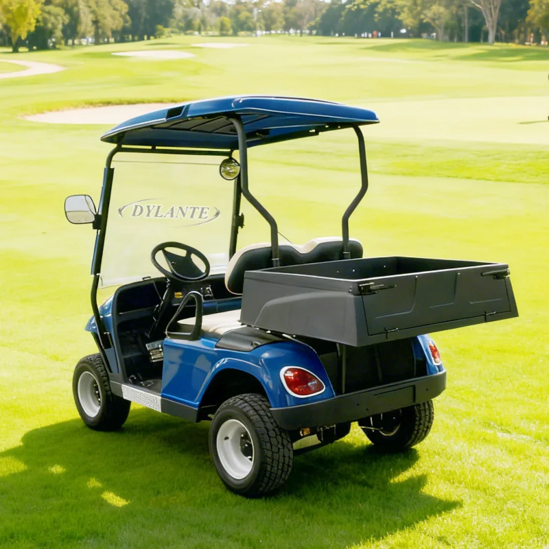 

Высококачественная высокопрочная стальная пластина заднего моста, электрическая тележка для гольфа с литиевой батареей, приводом на заказ, задний грузовой электромобиль