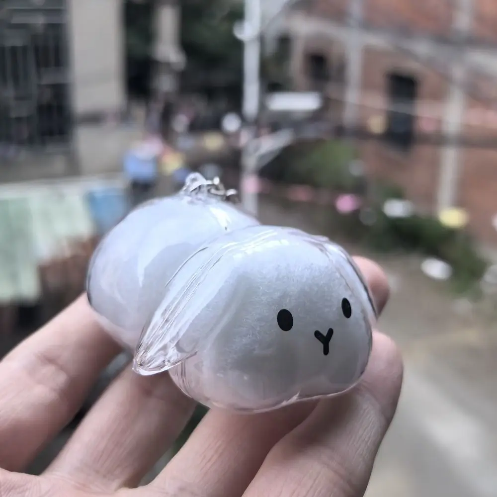 Transparent Pet Hair Storage Keychain Keyrings Memorial Organizer Pendant Rabbit Hair Collector Hair Container Animal