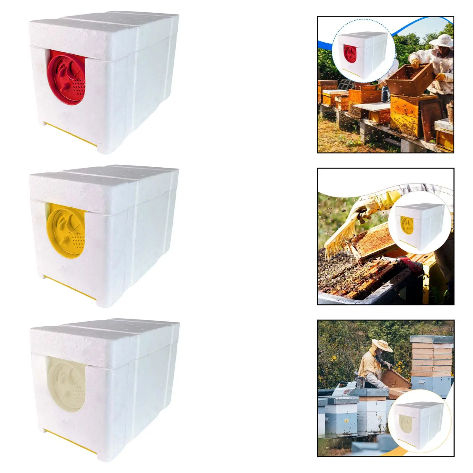 High Capacity Bee Breeding Box Rotating Entrance Honey Hive for Bee Keeper Pollination Beehive Kit