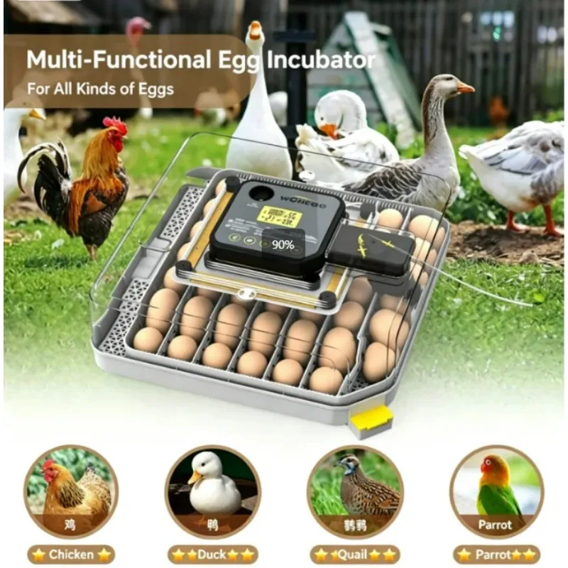 Fully‑Automatic Egg Incubator LCD Digital‑Display Auto‑Turning Transparent Hatching Apparatus for Chicken Duck Bird Poultry