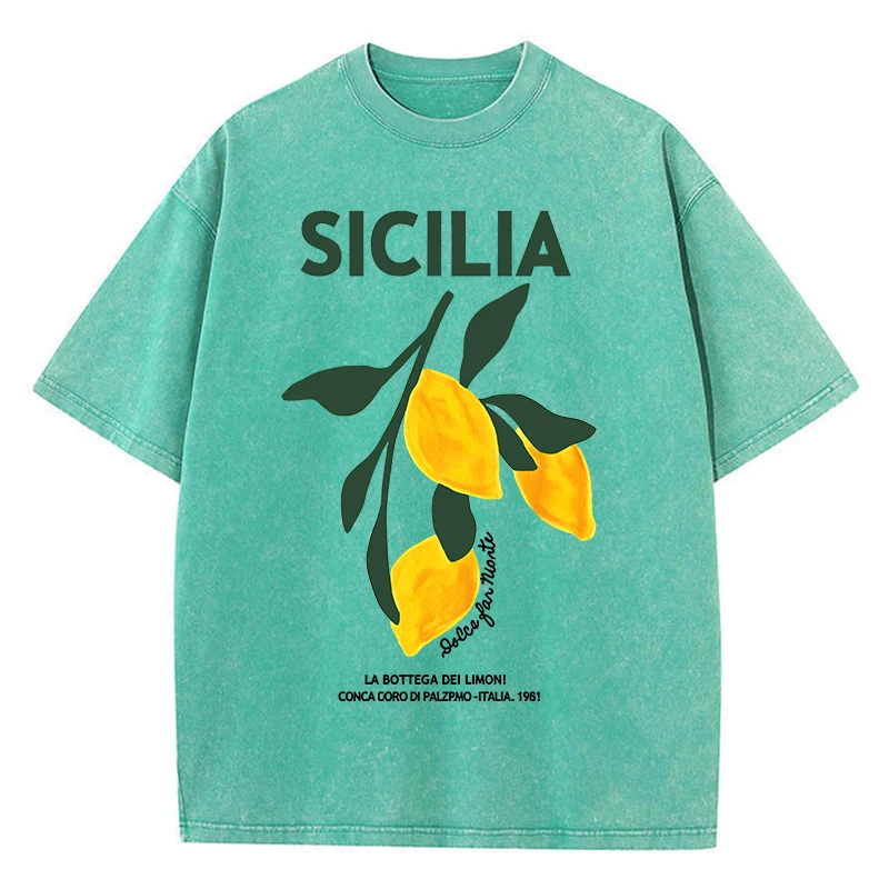 Amalfi Coast Italia Lemon Fruit Plus Size Women Washed T-Shirts Y2K Casual T Shirt Summer Soft Top Cotton Loose Short Sleeve