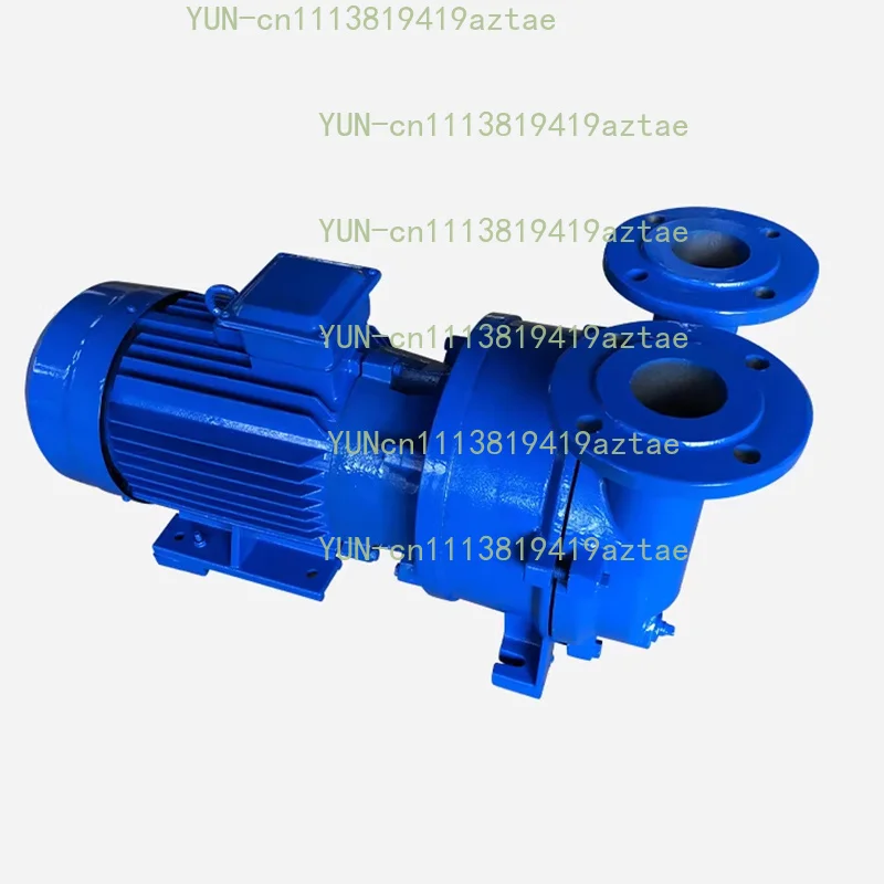 3300Pa Water Ring Vacuum Pump Industrial Water Circulation High Vacuum Pump Support Customization