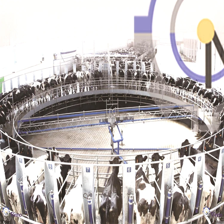 

Electronic Meter Milking System Rotary Milking Parlor for Dairy Farm