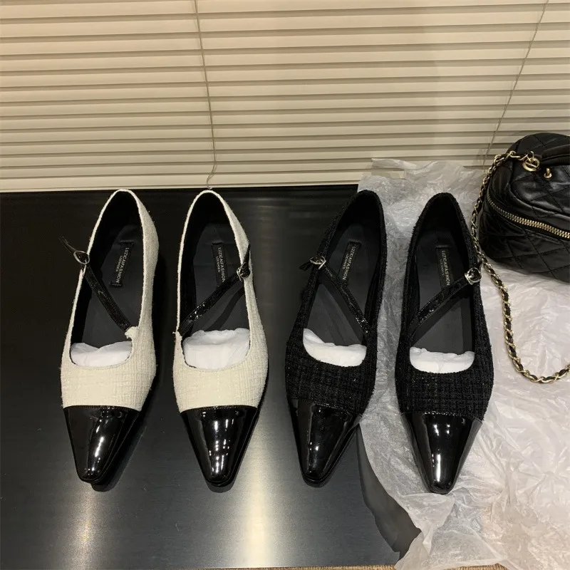 New Fashion Women's Retro Style Thick Heel Women Mary Jane Shoes Fashion Shallow Pointed Toe Ladies Comfort Office Pump Footwear