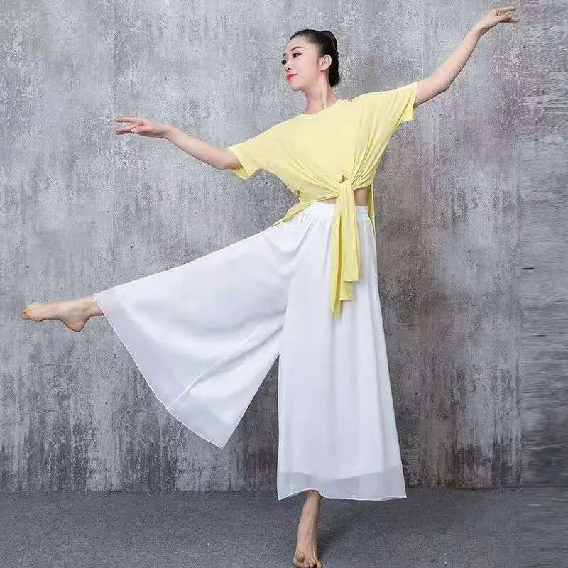 Modern Dance Women Dancing Pant For Women Classical Dance Chinese Folk Dance Practice Loose Pant Long Chiffon Wide Leg Pants