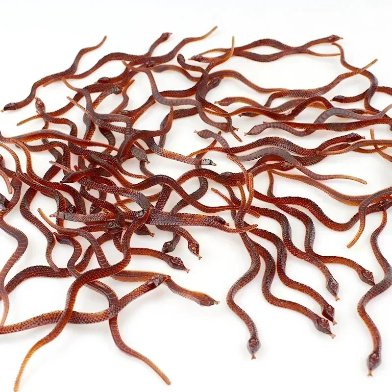 

12 шт. Ужасающие забавные тараканы: резиновые игрушки-приколы, реквизит для розыгрышей, имитация пластиковых многоножек