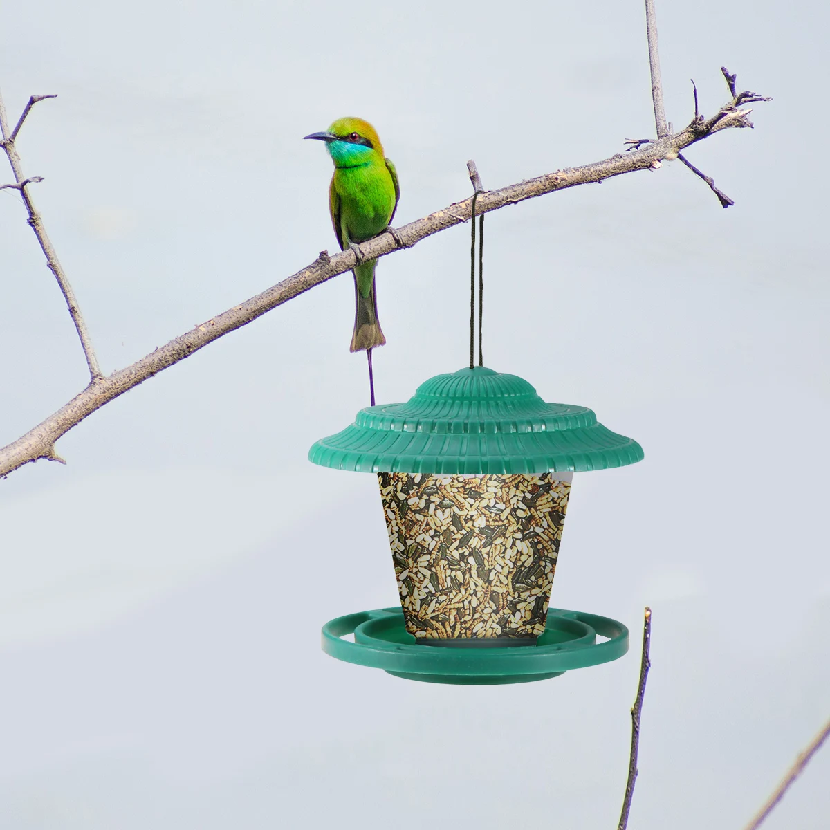 

Bird Feeder Feeding Basket Supplies Outdoor Finch Feeders for outside Hanging Wild Outdoors
