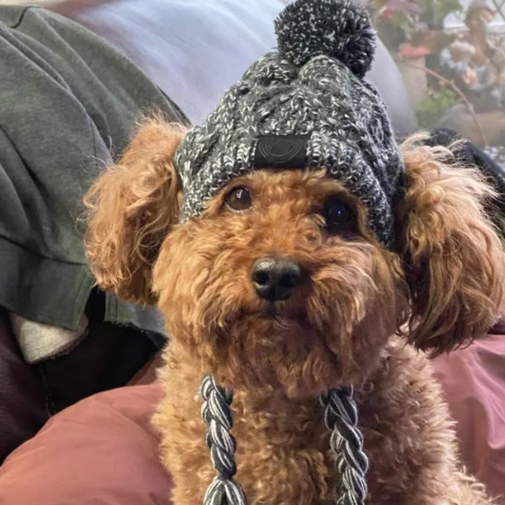 

Durable Adorable Pet Dog Knitted Hat with Ear Holes Winter Warm Head Cover Comfortable Gift for Small Medium Dogs