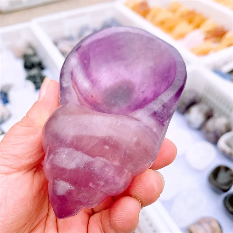 Natural Fluorite Conch Carving Exquisite Healing Fengshui Energy Stone Home Office Decoration Gifts 1pcs