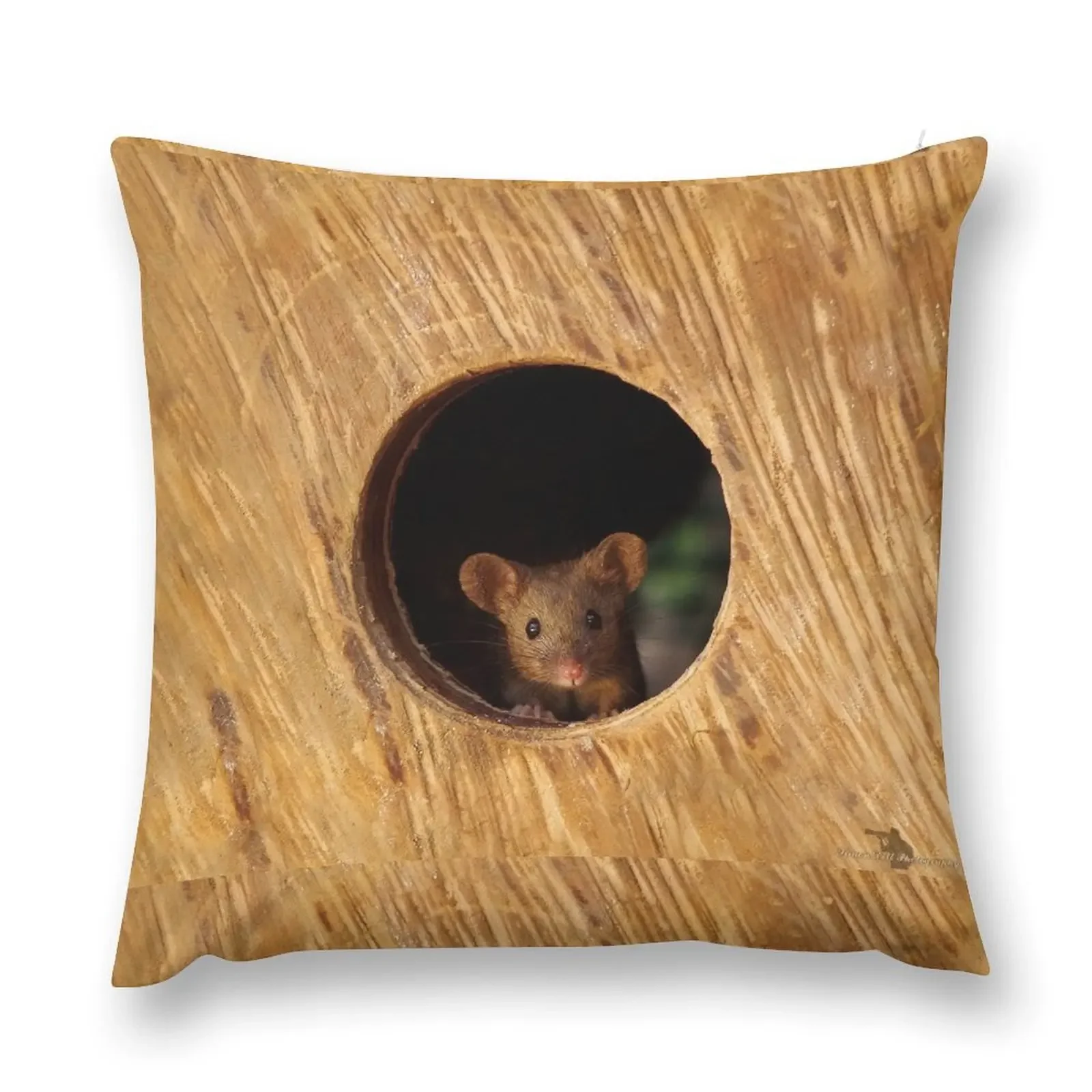 

George the mouse in a log pile House mouse in hole Throw Pillow Anime Cushions For Sofa Cushion Child pillow