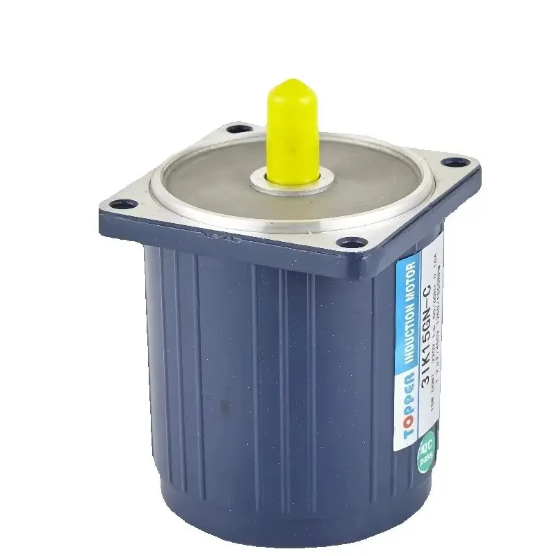 Single-Phase 230V Micro Brake Motor with Gear Box Reversible 380V AC 400V Motor Control Function for Home Improvement