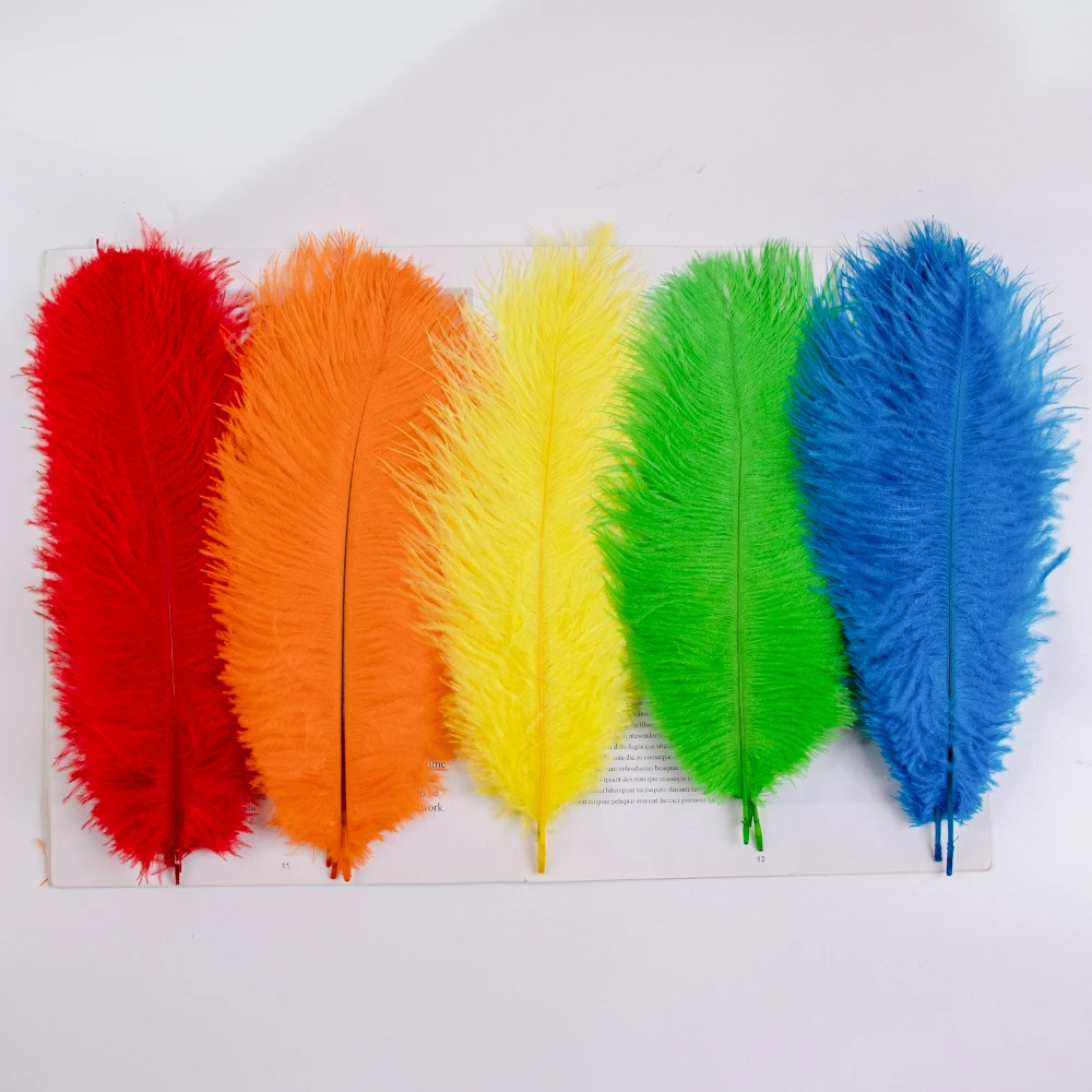 Natürliche Straußenfedern, 10 Stück, mehrfarbig, Hochzeits-Mittelstück, Vasendekoration, Heimtisch, Hochzeitszubehör, Plumas Craft, 15–35 cm