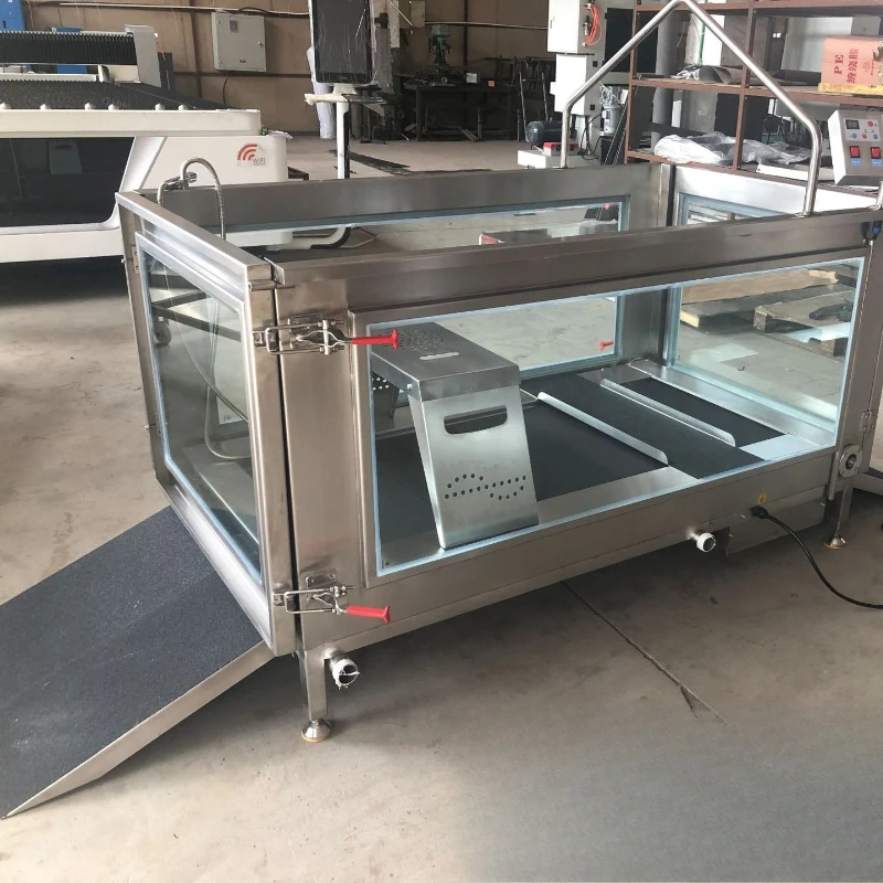 Pet Underwater Treadmill Spa Flippable with Slope Standing Man