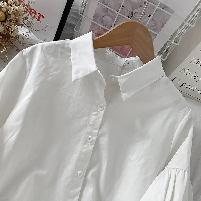 White Shirts and Blouses Korea Solid Women Shirt Lantern Sleeve Top Female Autumn Fashion Blouse 2024 Button Casual Clothes New