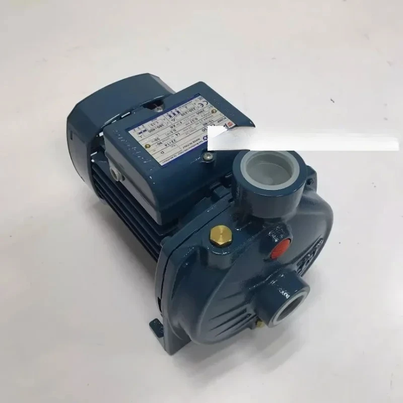 

Italian Pedro Pump Pedrolo Pump CP130-132-150-158-170-190-220C-A