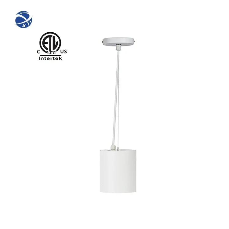 Master D IP65 Series Spotlight Adjustable Cob Downlight Adjust Down Lights Design Led Downlight Commercial Lighting For Hotel