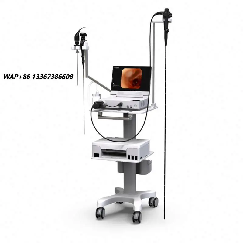 MSLGA290 Portable Veterinary Gastroscope System, Veterinary Instrument with Function