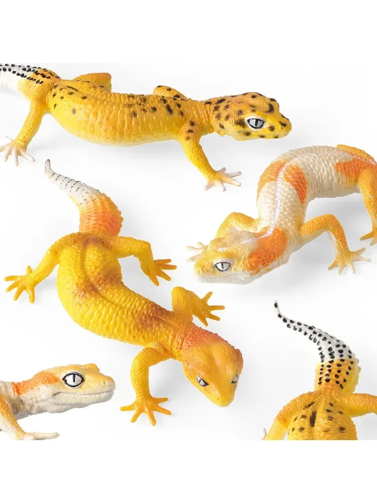 

Kids Solid Reptile Model Collection - Leopard Print Gecko & Lizard for Science Education Ornamental Toy Set