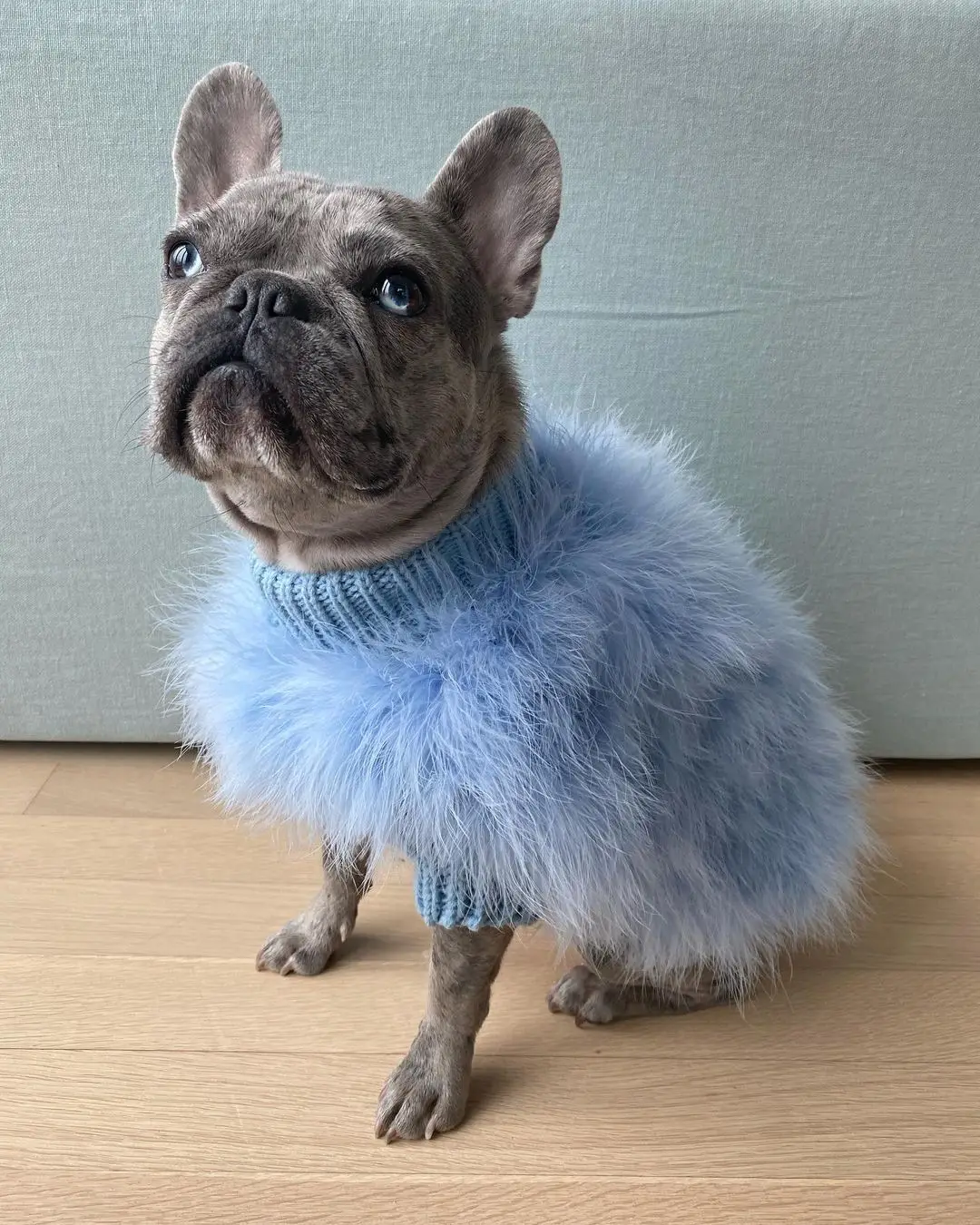 Soft Fluffy Turtleneck Dog Sweater In Blue And Pink Luxurious Dog Clothes Also Suitable For Cats