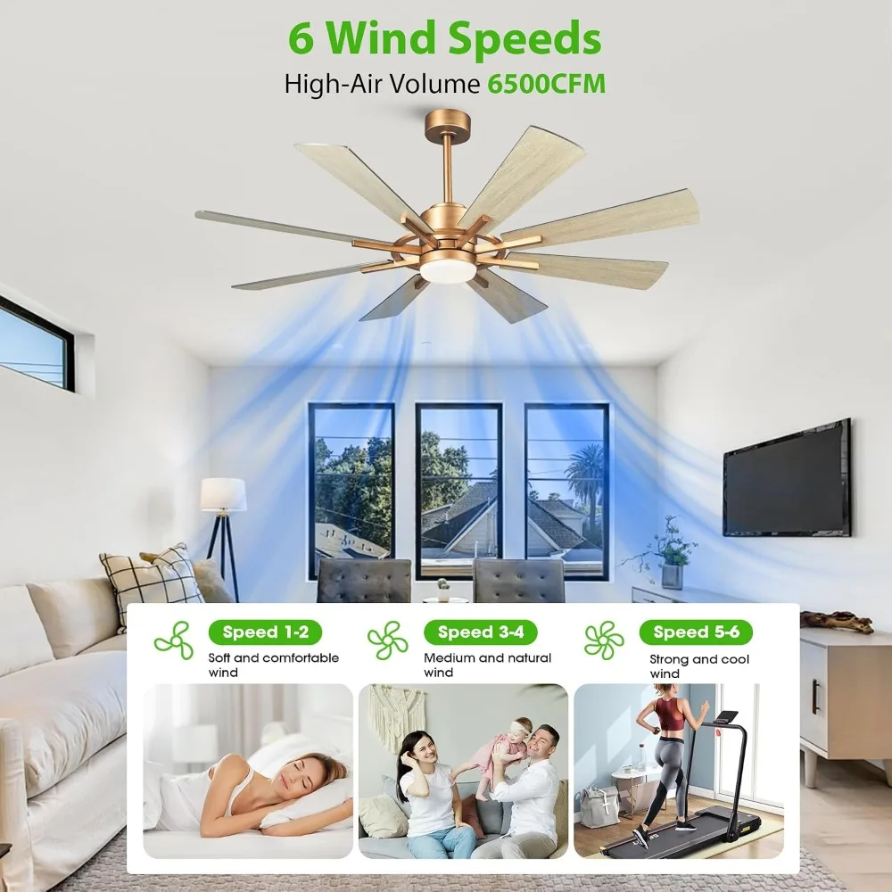 60 inch Ceiling Fan with Lights and Remote, 8 Blades, Quiet DC Motor, 3 CCT, 6 Speed, Timer