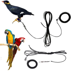 Bird Training Rope Bird Foot Chain Release Parrot Rope Outdoor Flying Rope Bird Walking Tool Not Hurt Feet Bird Accessories